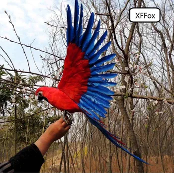 Veľké reálnom živote red&blue wings papagáj model pena&pierko šedá packa simulácia papagáj vták dar, o 45x60cm xf0269