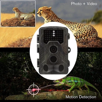 HC-800A Lov Fotoaparát Foto Pasce 1080P Voľne žijúcich živočíchov Skautingu Kamerou na Nočné Videnie Infračervené Wildcamera Poľovnícky Chodník Kamery